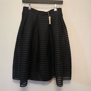 Elegant Black Full Skirt